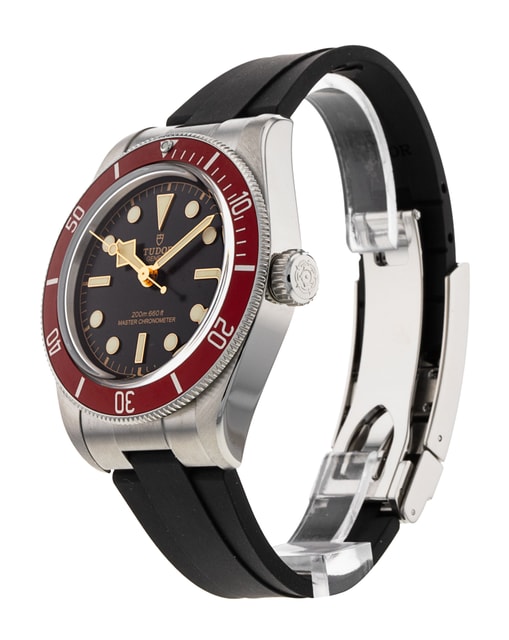 Tudor Black Bay M7941A1A0RU-0002 Image 2